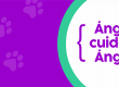 Del Ángel Clínica Veterinaria