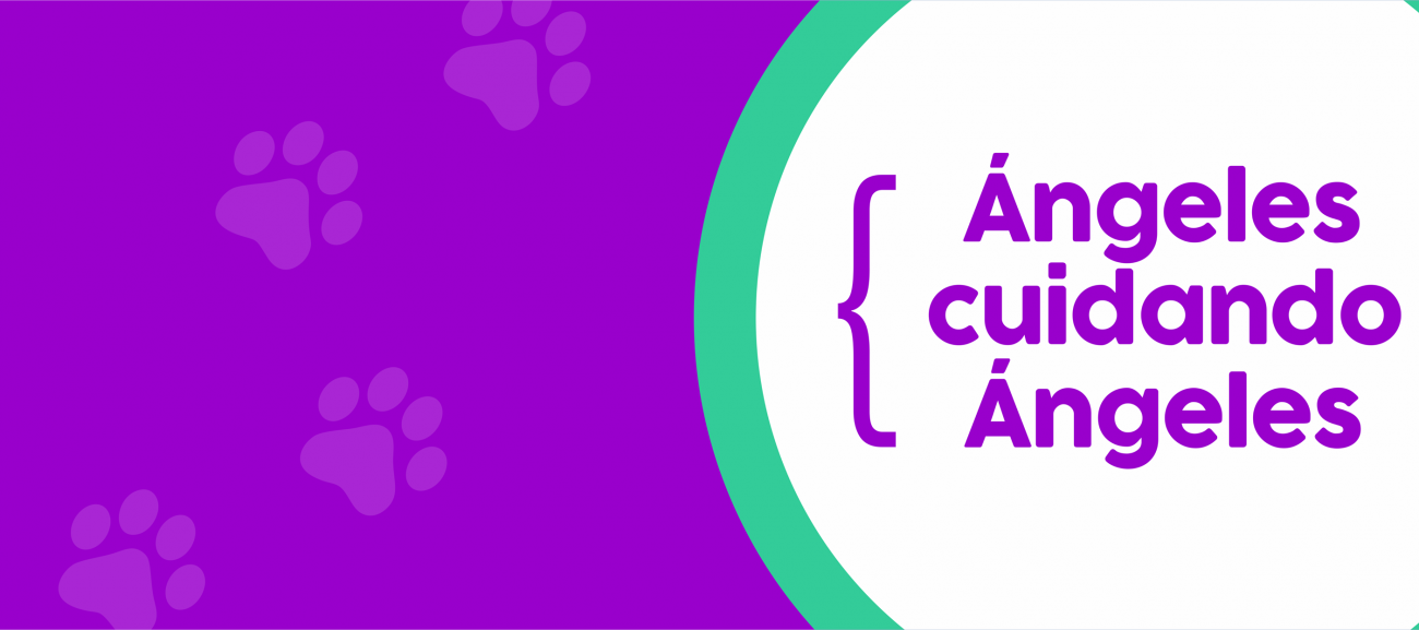 Del Ángel Clínica Veterinaria