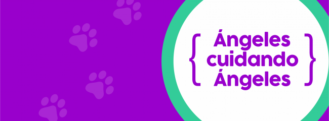 Del Ángel Clínica Veterinaria