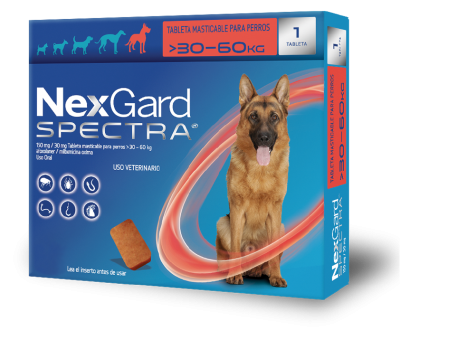 NexGard Spectra protege a tu perro contra pulgas, garrapatas y ácaros. Todo en un masticable sabroso que ellos prefieren.