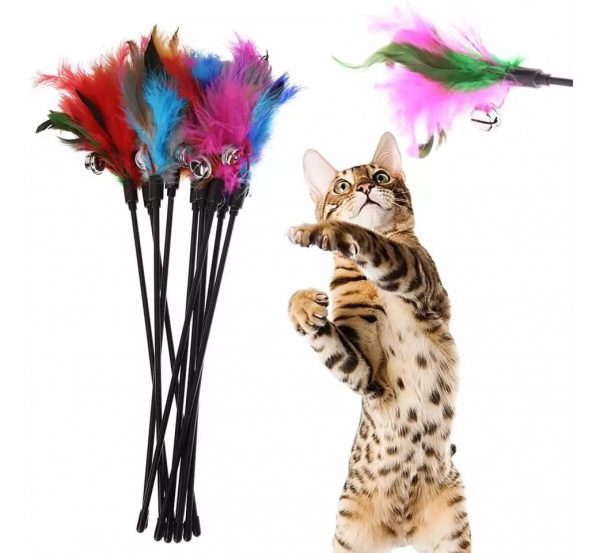 Plumas para gatos, juguete interactivo