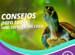 Sigue