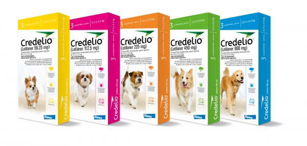 Credelio actúa contra garrapatas y pulgas.Amigable con tu mascota.Fácil administración protege a cachorros y perros de las garrapatas y pulgas.