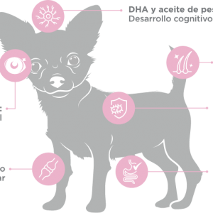 NUPEC CACHORRO PARA RAZAS MINI 1 KG