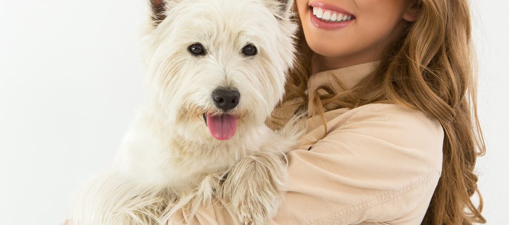 Profilaxis dental canina en Tuxtepec Oaxaca