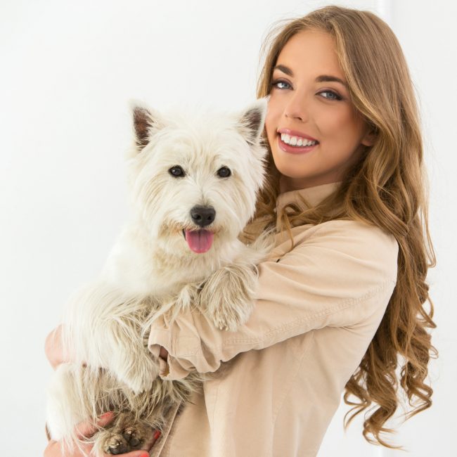 Profilaxis dental canina en Tuxtepec Oaxaca